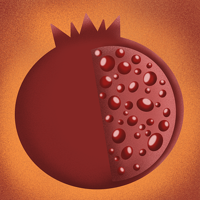 Pomegranate flat illustration illustration pomegranate procreate