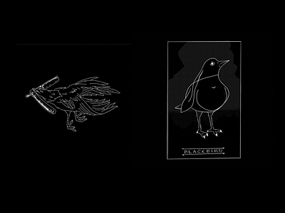 Blackbird Shirts barber blackbird branding graphic design illustration procreate