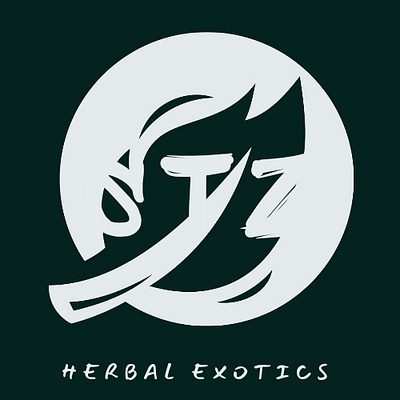 STZ Herbal Exoctics Logo branding graphic design logo