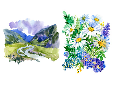 Flowers of Altai. A series of illustrations for the merch. altai book illustration botanical branding children book flowers graphic design illustration illustrator merch mountains ui watercolor watercolor illustration