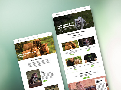 I Am Bulldog | Website Redesign branding graphic design pets ui ux website