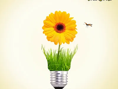 Matador Lights & Accessories Falgun Ad ad bulb concept creative day falgun led light matador spring