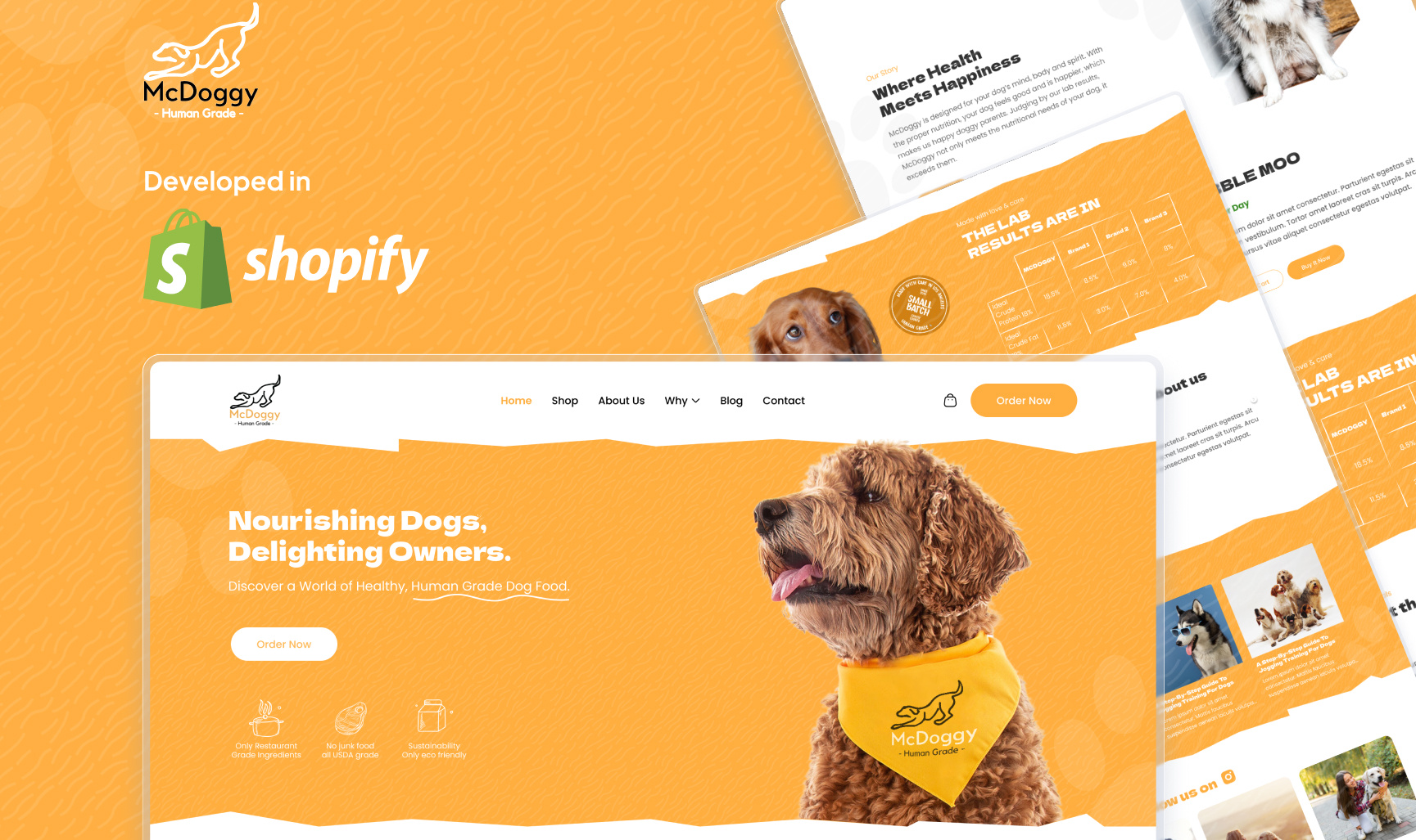 Shopify Website Design branding ecommerce ui website design