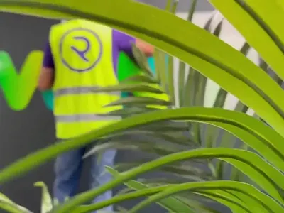 Mint Tech - Signage Design & Installation branding graphic design graphics office graphics signage signage design signage install signage production vinyls wall art wall graphics