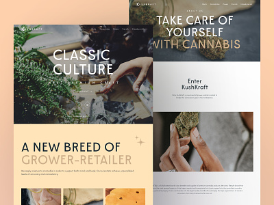 Kushkraft - Grower-Retailer of Cannabis branding cannabis cbd clean clean design creative product design ux web