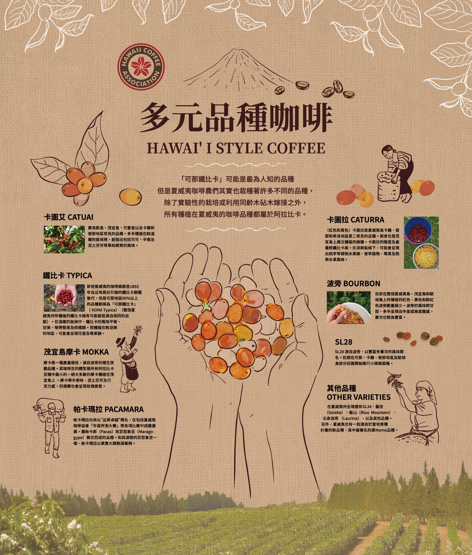 Hawaii Coffee Association 夏威夷咖啡協會 design exhibition graphic design illustration