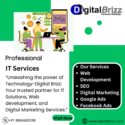 Professional IT Services Company in Rajkot best digital marketing agency best it company best seo agency digitalbrizz gujarat rajkot