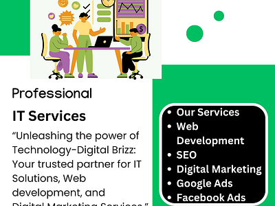 Professional IT Services Company in Rajkot best digital marketing agency best it company best seo agency digitalbrizz gujarat rajkot