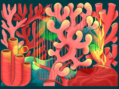 Coral fever brushes colorful coral coral reef discount drawing illustration postcard procreate sea sketch texture