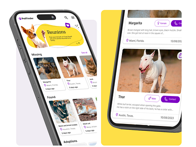 PetFinder adoption case study pets reunions ui design ux ui design