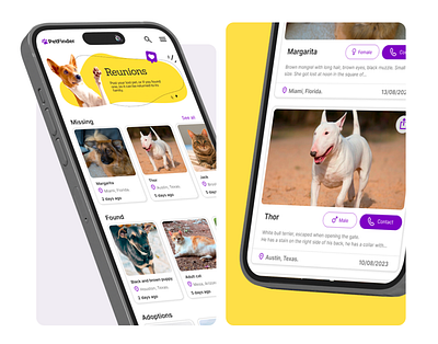 PetFinder adoption case study pets reunions ui design ux ui design