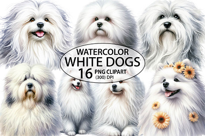 Valentine's White Dog Collection dog supplies