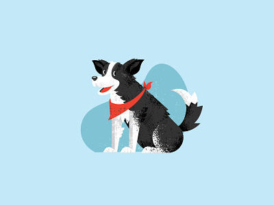 Australian Shepherd canine cattle dog dog illustration texture