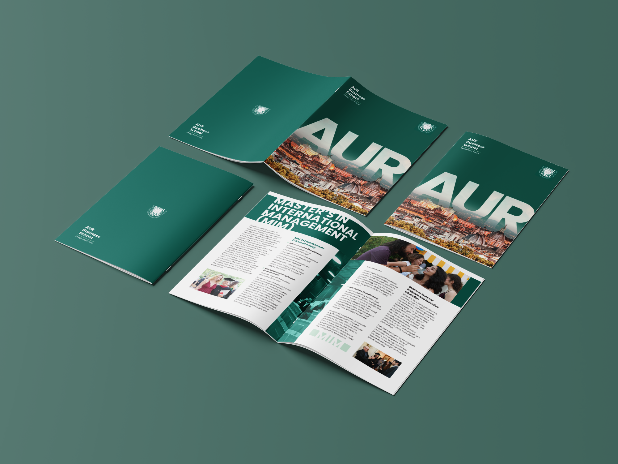 Example of Brochure Design For Print /Digital