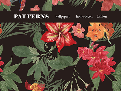 PATTERNS_WALLPAPERS_HOME DECOR_FASHION branding design fashion graphic design illustration interior patterns photoshop procereate textile graphic design vector