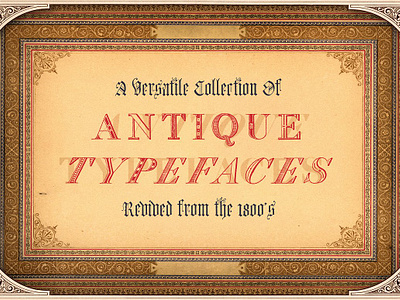 Antique Fonts Collection (12 Fonts!) font bundle font collection font pack fonts bundle fonts pack logo design vintage font bundle