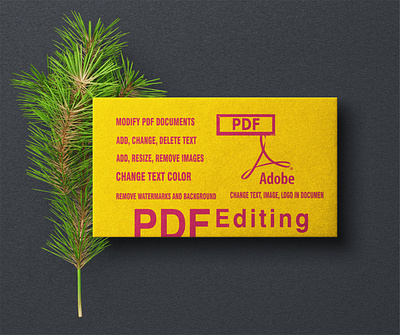 PDF Editing busness crad graphic design logo pdf pdf editing