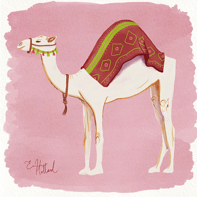 Content Camel animal art animals content camel drawing duo illustration elle powell art fashion illustration for fun fun camel illustration pink camel travel travel illustration