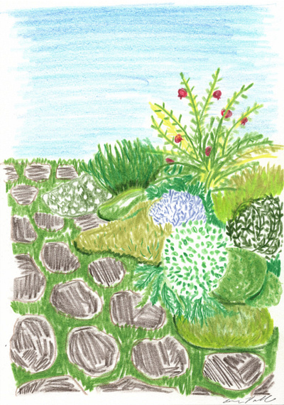 French Garden beautiful garden colored pencil drawing colored pencils design drawing elle powell art fashion and travel illlustrator french garden illustration lush green south of france travel illustration travel inspiration