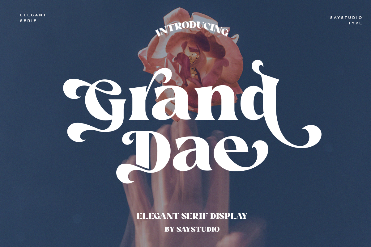 Grand Dae - Elegant Serif Display Font beauty branding branding font display display font elegant elegant font font modern serif unique font