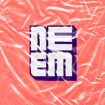 Flagship Agency x NEEM branding design graphic design illustration logo photography typography ui ux vector