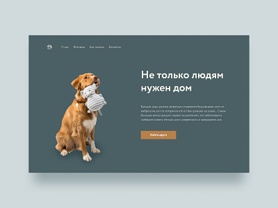 Concept for the animal shelter animal branding design logo ui ux uxui design web design