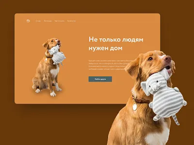 Concept for the animal shelter / variant 2 animal design graphic design ui ux uxui design vector