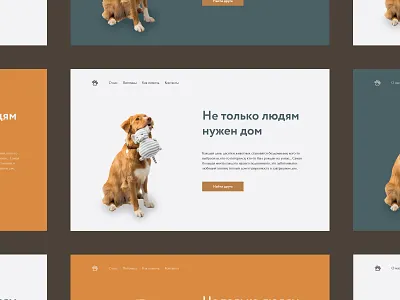 Concept for the animal shelter / variant 3 animal design graphic design logo ui ux uxui design vector