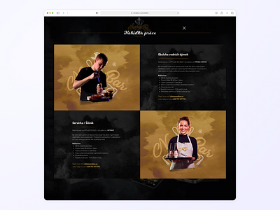 Nargibar job offers page – web design ui web