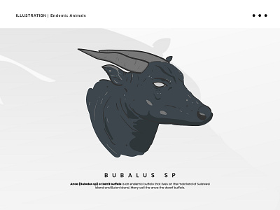 ILLUSTRATION | Bubalus SP animal animal head animation anoa bubalus sp endemic graphic design illustration