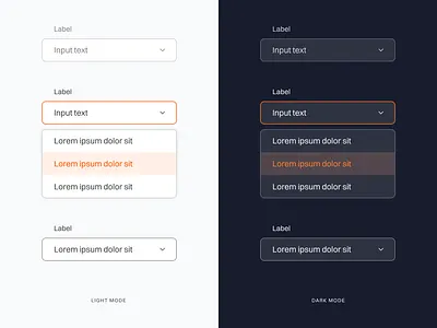 Light and Dark Input dark mode design design system element form input light mode typo ui ux