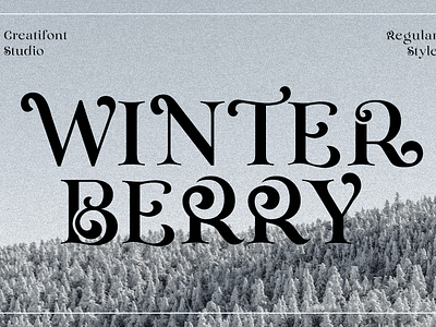 Winterberry - Christmas Display Serif branding christmas design display elegant font illustration logo modern serif serif font typeface typography