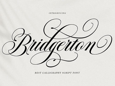 Bridgerton Script beautiful book branding calligraphy cards casual elegant font invitation logo magazine modern script wedding