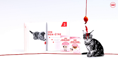 Royal Canin - Kitten Kit short 3d 3d animation advertising campains after effects animation branding cinema 4d creative branding cute animal digital marketing discovery box kittens motion design motion graphics online advertisement pet care pet products product showcase redshift social ads