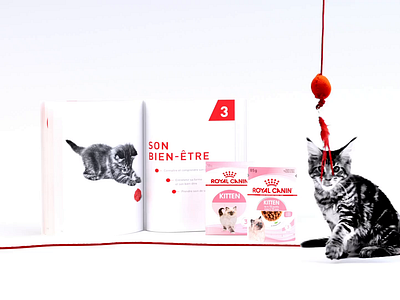 Royal Canin - Kitten Kit short 3d 3d animation advertising campains after effects animation branding cinema 4d creative branding cute animal digital marketing discovery box kittens motion design motion graphics online advertisement pet care pet products product showcase redshift social ads