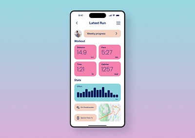 DAY 041 / WORKOUT daily ui excercise happyhues interface mobile mockup overview stats training ui ux wireframe workout