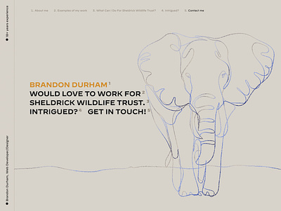 Courting Sheldrick Wildlife Trust animals animation decimal graphic design hoeflerco landing page typography