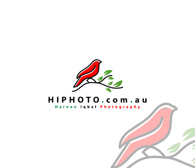 Mordern Logo bird logo minimalistic mordern photo