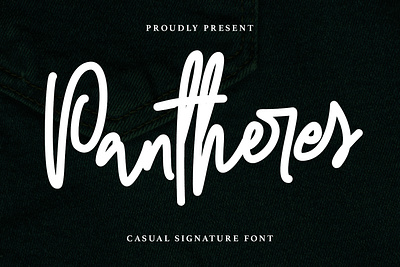 Pantheres Casual Signature Font animation beauty font branding design font fonts graphic design handmade font illustration logo nostalgic script font signature font