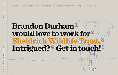 Courting Sheldrick Wildlife Trust FINAL design grey hoefler co illustration interactive sentinel typography