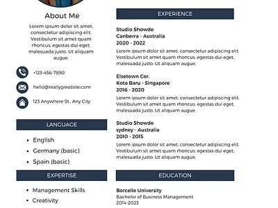 Blue Professional Modern CV Resume professional resume resume data