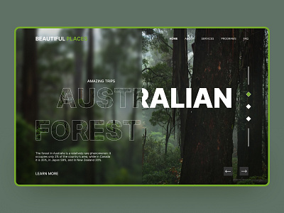 Beautiful places / 01 australian concept design design concept forest glass effect ui ux web design