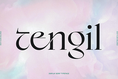 Tengil Font aesthetic font branding font classy font elegant font fashion font font logo logo font modern font senzana serif web font