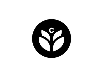 Tottia Coffee branding des design graphic design illustration logo logo identity