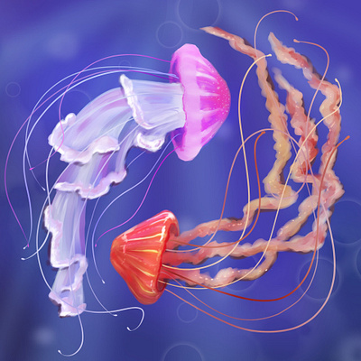 Jellyfish animals illustration jellyfish ocean
