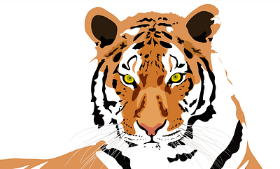 Tiger Vector Art dtp graphic design illustration photoshop vector art