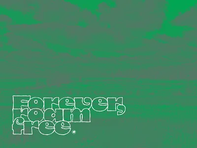 roam branding buffalo design graphic design inspired retro roam tiny buffalo vintage