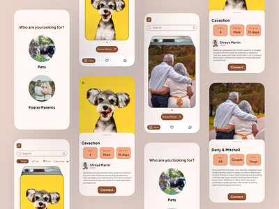Foster Parent Finder App for Pets - UI Design design ui