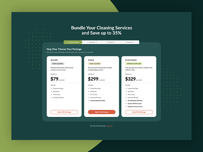 Pricing Model - Web UI clean ui plan page price and plan pricing plan