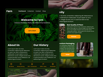 Fern, Online purchase place branding graphic design ui